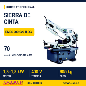 Sierra Cinta BMBS 300x320 H-DG.