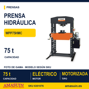Prensa Hidráulica Motorizada WPP75HMC.
