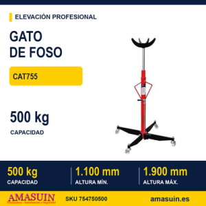 Gato de Foso CAT755.