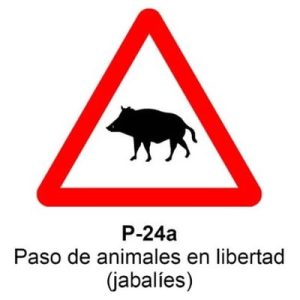 Señal Aluminio MOPU P24A Paso de jabalíes - Dorso cerrado
