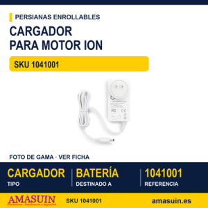 Cargador para motor Ion - CARGADOR PARA MOTOR ION 35