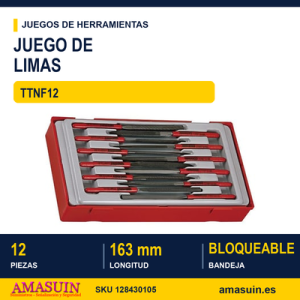 Juego de Limas de Aguja TTNF12 - 12 piezas