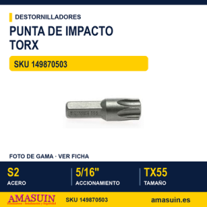 Punta de impacto hexagonal 970055 TX55