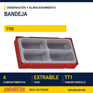 Bandeja con 4 compartimentos TT03