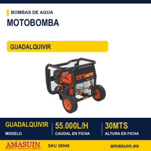 MOTOBOMBA GUADALQUIVIR 55.000 L/H 30 Mts