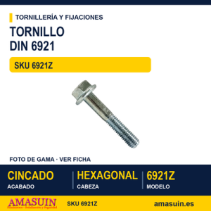 Tornillo con valona DIN 6921 8.8 / ISO 8100 Cincado