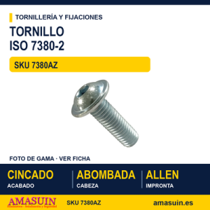 Tornillo con valona ISO 7380-2 / DIN 34805-2 Cincado