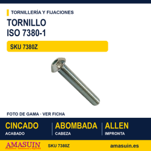 Tornillo ISO 7380-1 10.9 / DIN 34805-1 Cincado