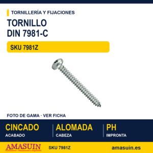 Tornillo DIN 7981-C / ISO 7049 Cincado