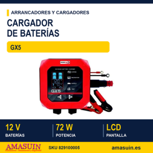 Cargador Baterías GX5.
