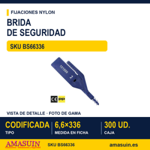 Brida de seguridad