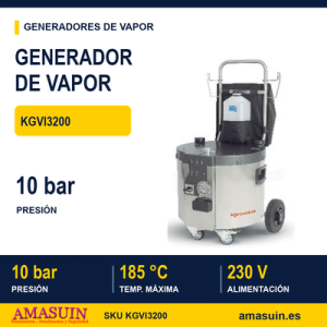 Generador de Vapor KGVI3200