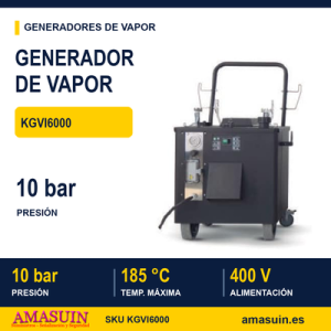 Generador de Vapor KGVI6000