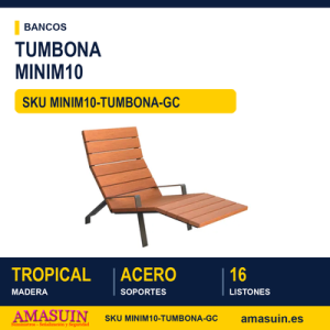 Tumbona MINIM10 Acero y Madera Tropical