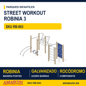 STREET WORKOUT DE MADERA DE ROBINIA 3