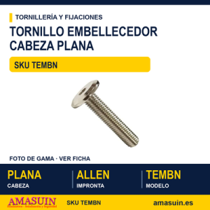 Tornillo embellecedor c/plana allen